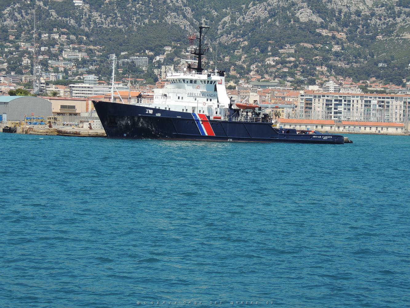 2019 06 01 LA SEYNE SUR MER A.G DE LA SEPIA FEDERATION NATIONALE (152).JPG -           